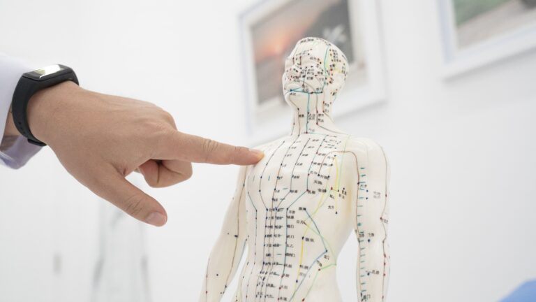 acupuncture human body model DNA Health Clinics